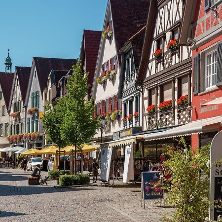 Cheerful Apartment Near City Centre Of Haslach Haslach im Kinzigtal Buitenkant foto