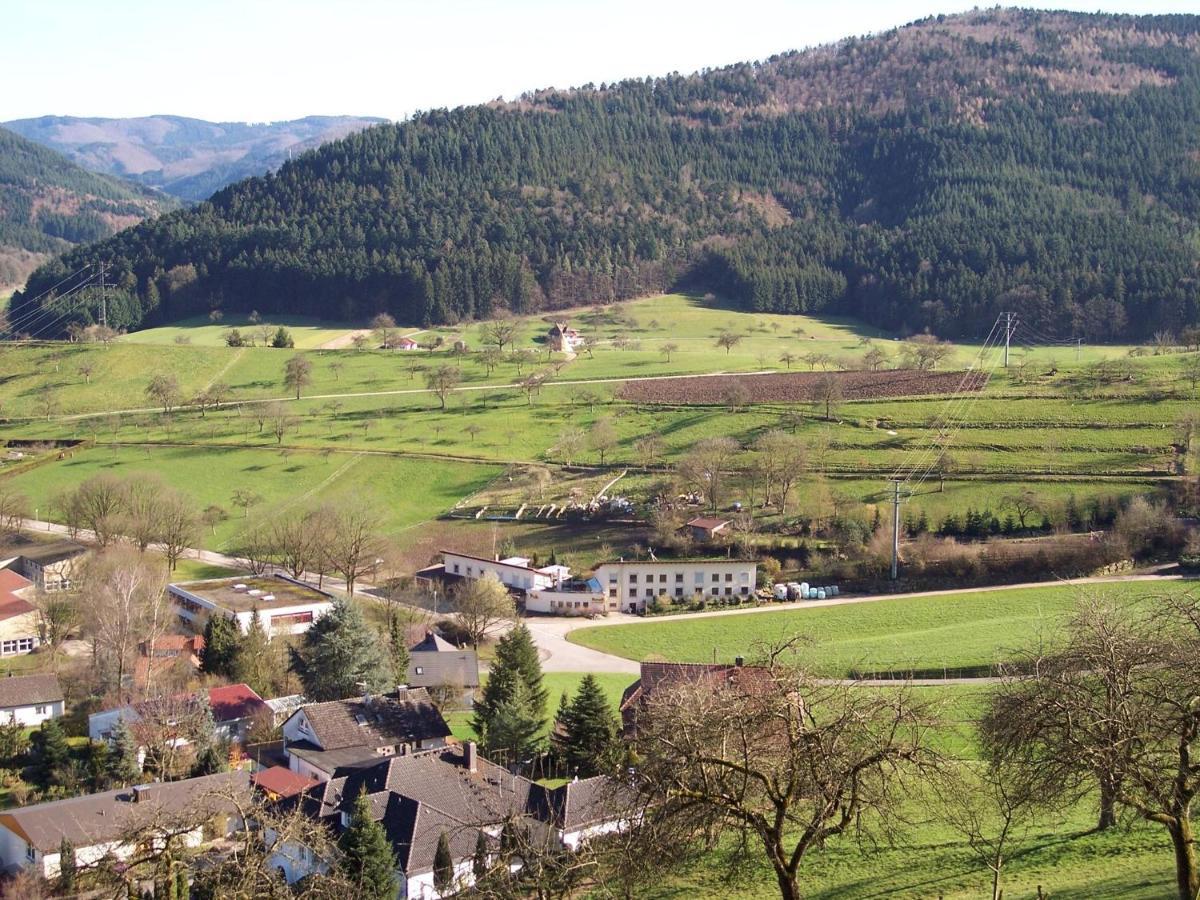 Cheerful Apartment Near City Centre Of Haslach Haslach im Kinzigtal Buitenkant foto